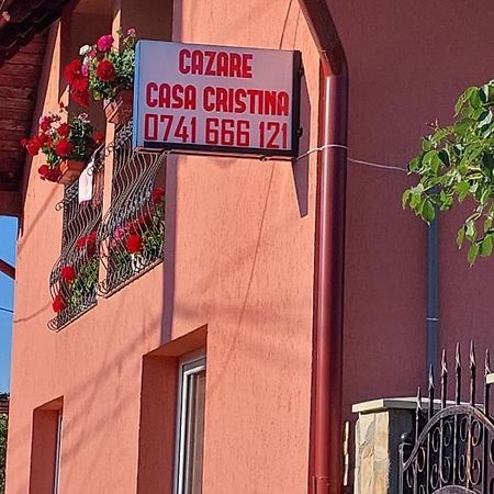 Hotel Casa Cristina Cîrţişoara Exteriér fotografie
