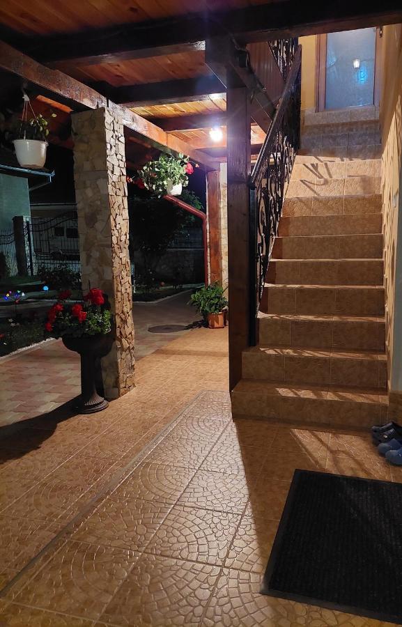 Hotel Casa Cristina Cîrţişoara Exteriér fotografie