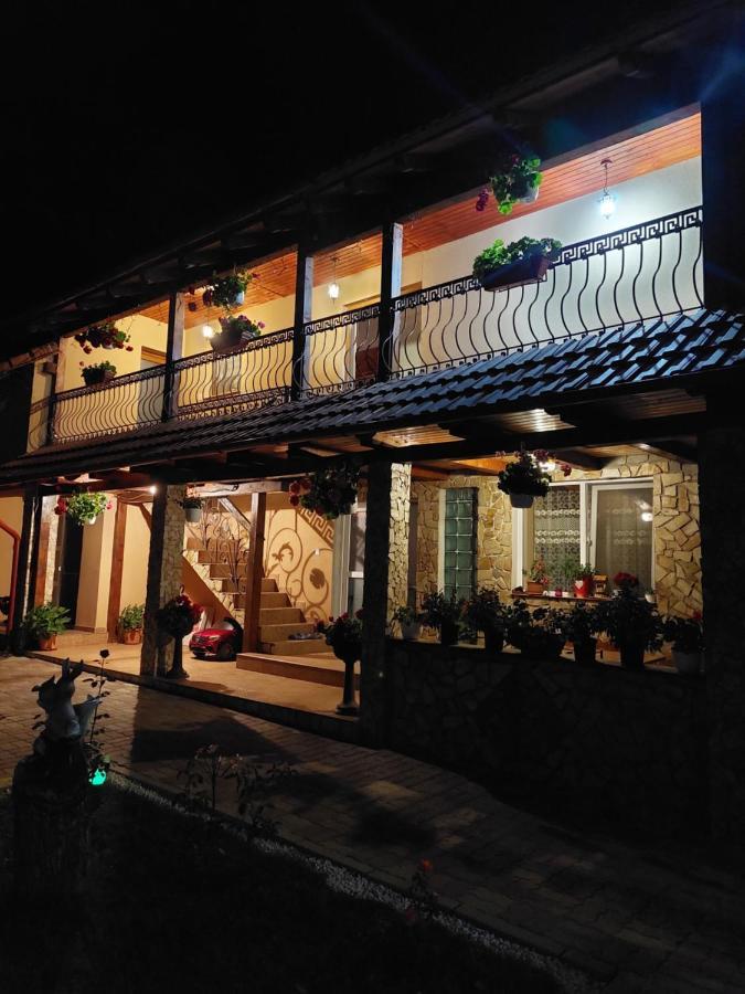 Hotel Casa Cristina Cîrţişoara Exteriér fotografie