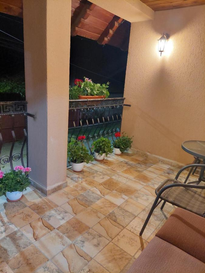 Hotel Casa Cristina Cîrţişoara Exteriér fotografie