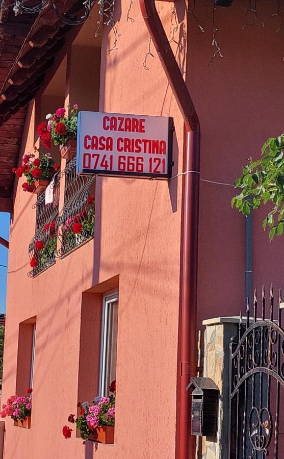 Hotel Casa Cristina Cîrţişoara Exteriér fotografie
