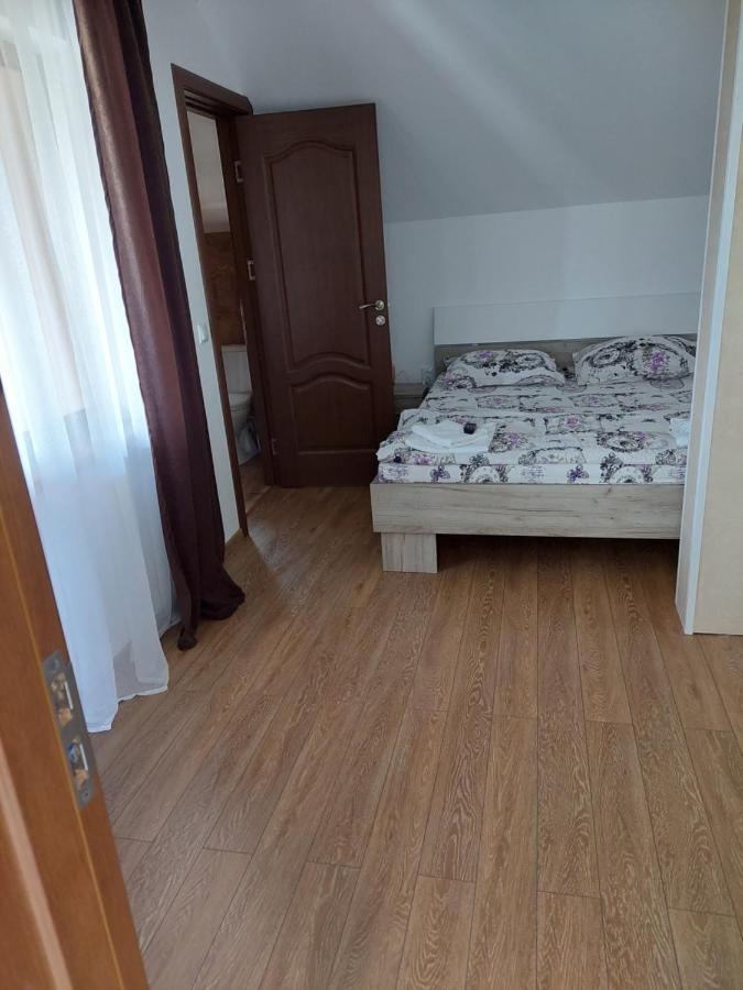 Hotel Casa Cristina Cîrţişoara Exteriér fotografie