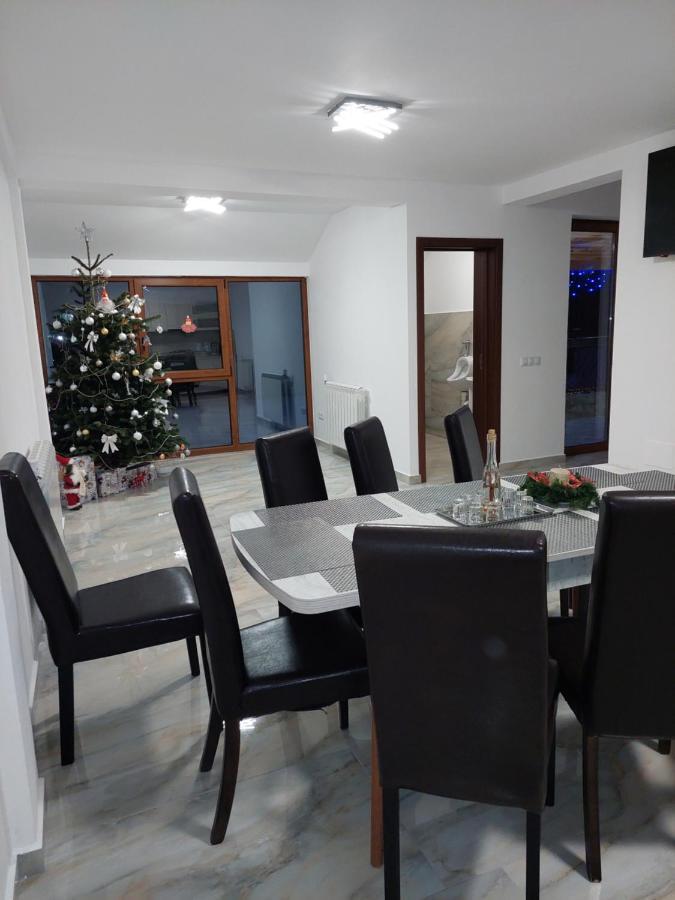 Hotel Casa Cristina Cîrţişoara Exteriér fotografie