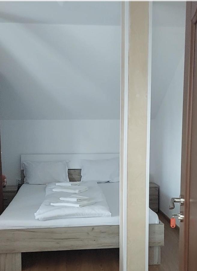 Hotel Casa Cristina Cîrţişoara Exteriér fotografie