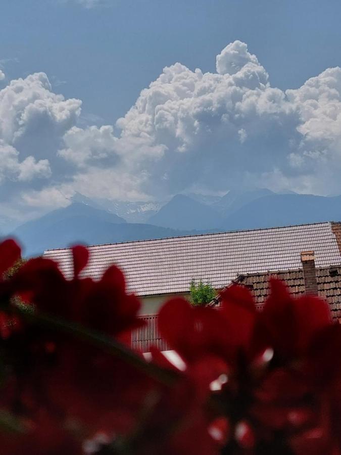 Hotel Casa Cristina Cîrţişoara Exteriér fotografie