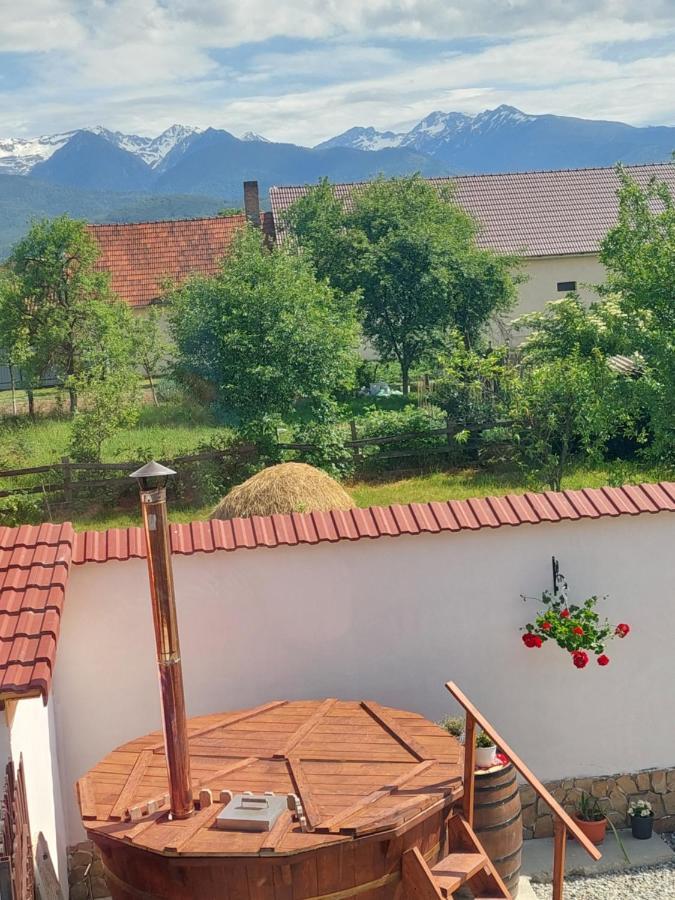 Hotel Casa Cristina Cîrţişoara Exteriér fotografie