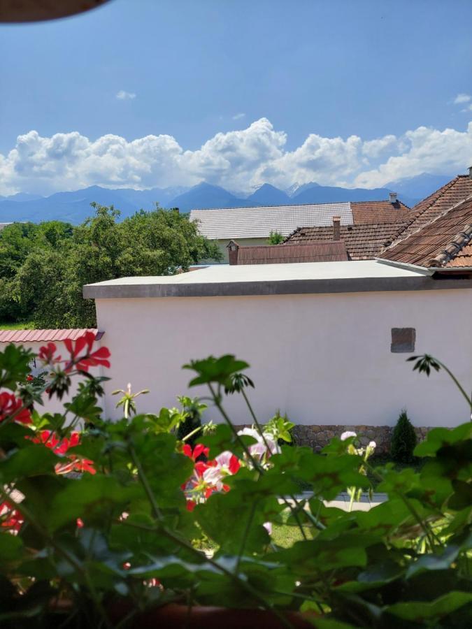 Hotel Casa Cristina Cîrţişoara Exteriér fotografie
