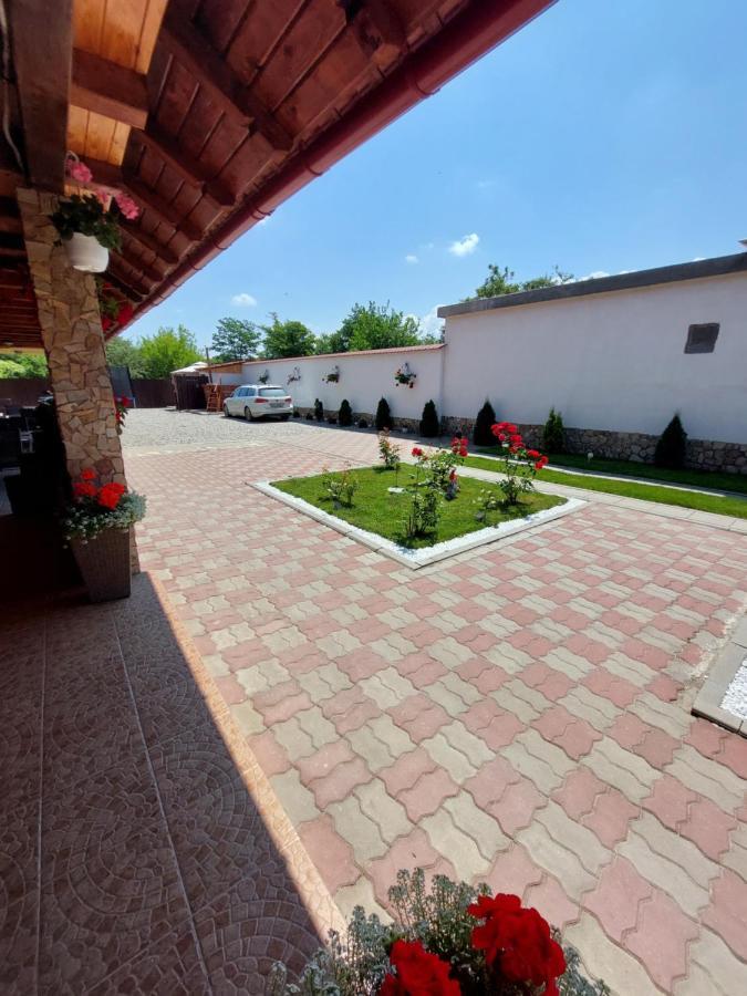 Hotel Casa Cristina Cîrţişoara Exteriér fotografie