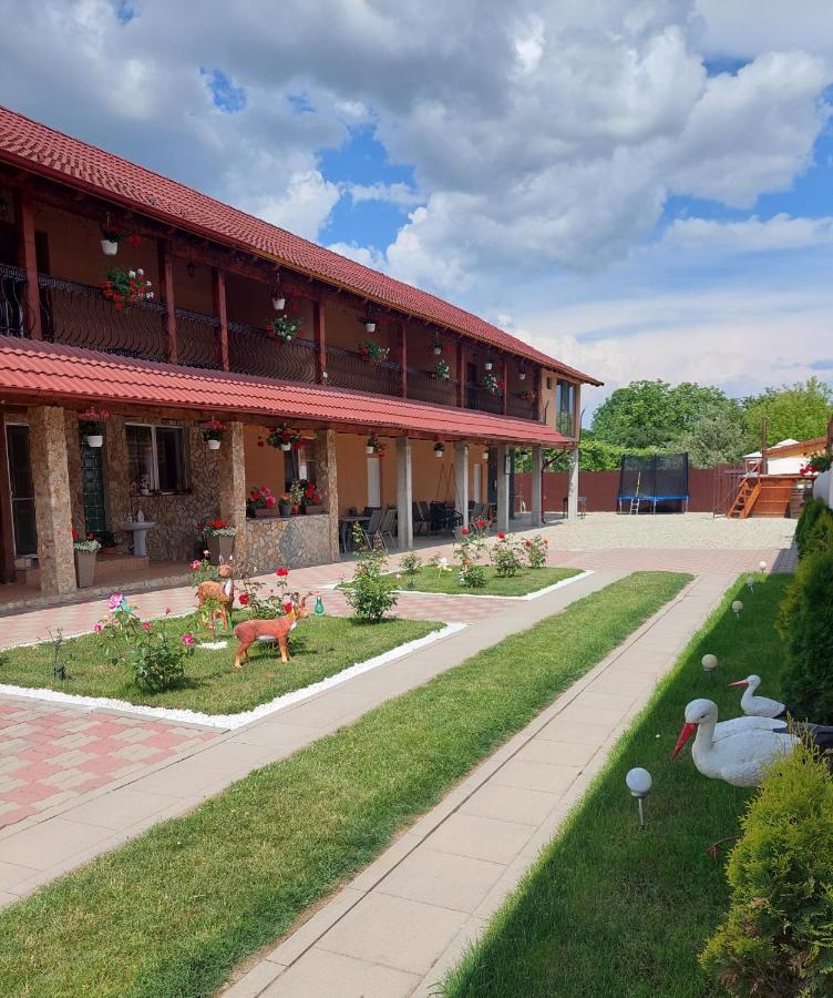 Hotel Casa Cristina Cîrţişoara Exteriér fotografie