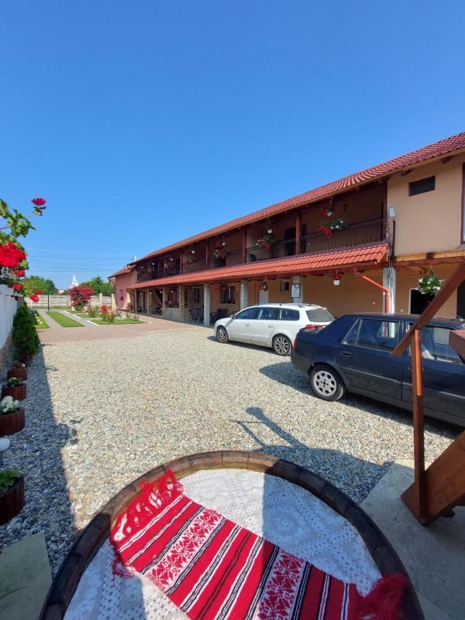 Hotel Casa Cristina Cîrţişoara Exteriér fotografie