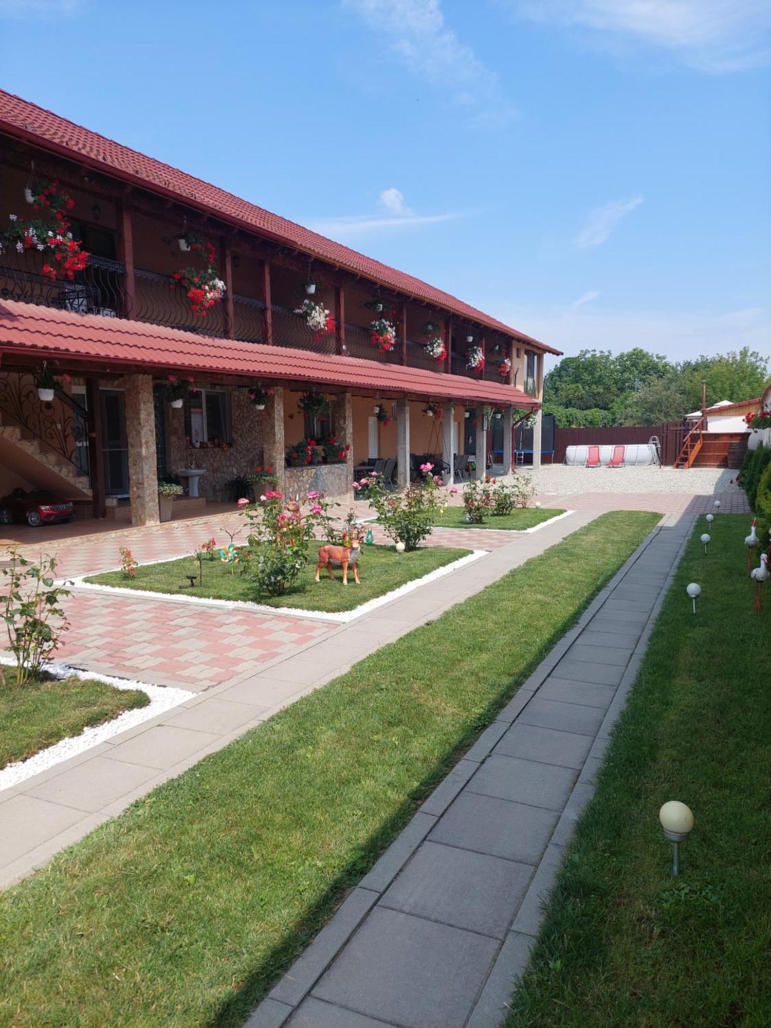 Hotel Casa Cristina Cîrţişoara Exteriér fotografie